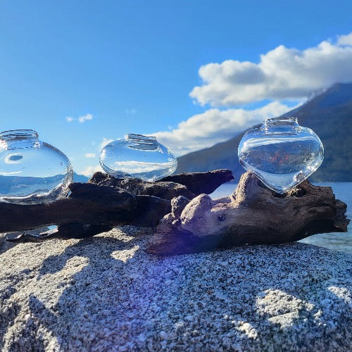 SALE Blown Glass Vase on Driftwood